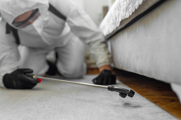 Professional Pest Control technician working in Meridian, ID