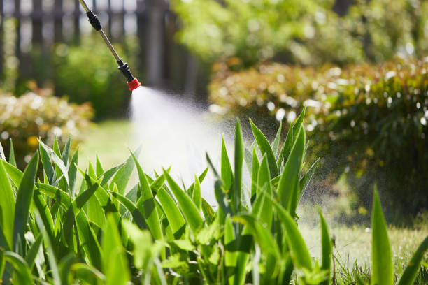 24/7 Emergency Cockroach Control experts in Meridian, ID