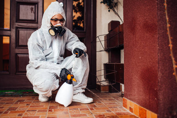 Reliable Cockroach Control contractor in Meridian, ID by Nex Pest Control