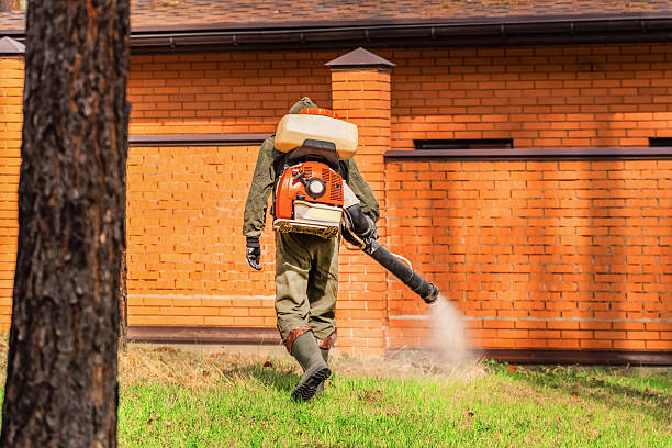 Trusted Cockroach Control service in Meridian, ID - Nex Pest Control